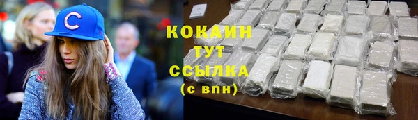 бошки Бронницы