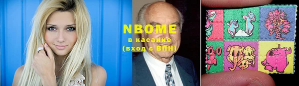 хмурый Бородино