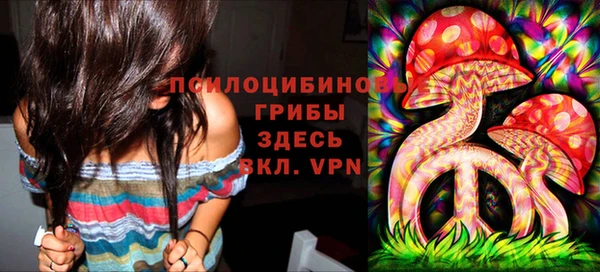 хмурый Бородино