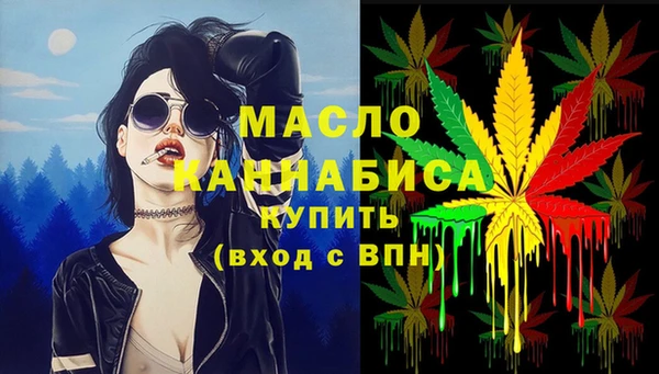 бошки Бронницы