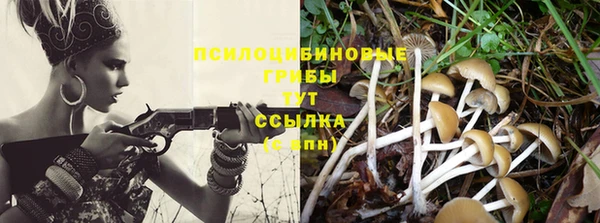 бошки Бронницы