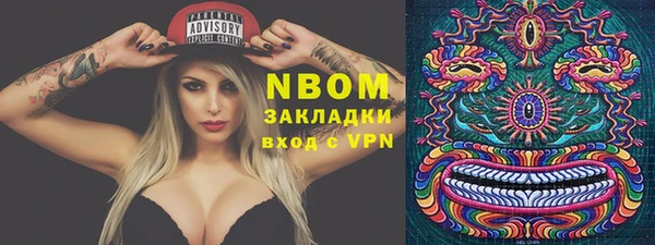 хмурый Бородино