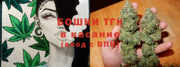 хмурый Бородино