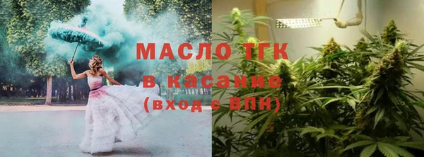 хмурый Бородино