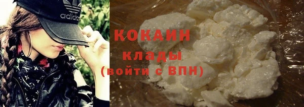 бошки Бронницы