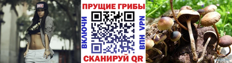 Галлюциногенные грибы GOLDEN TEACHER  Купить закладки  Сибай 